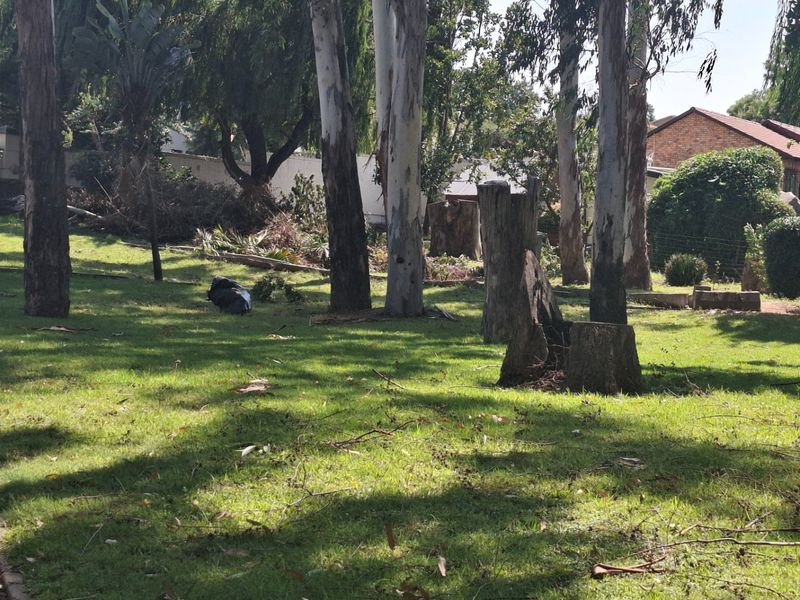 0 Bed Apartment in Halfway Gardens for Sale - Photo 10