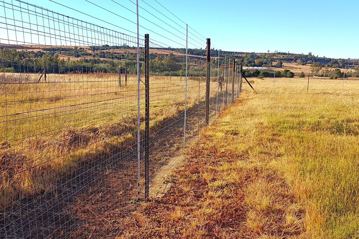 Stunning 37-Hectare Farm Cullinan area  - Photo 2