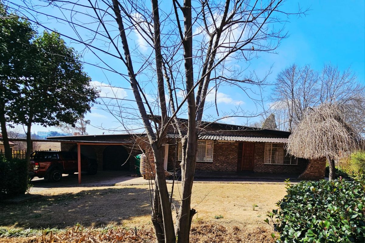 Exceptional Dual Living with Bonus Bachelor Flat in Bethal! - Photo 5