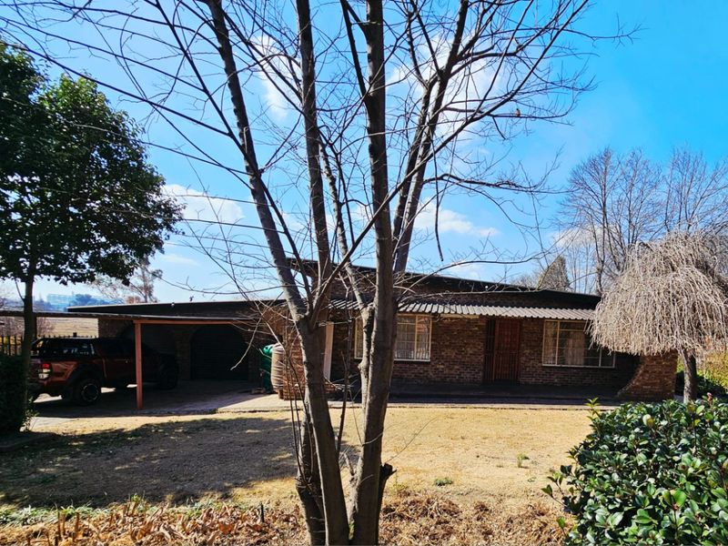 Exceptional Dual Living with Bonus Bachelor Flat in Bethal! - Photo 5