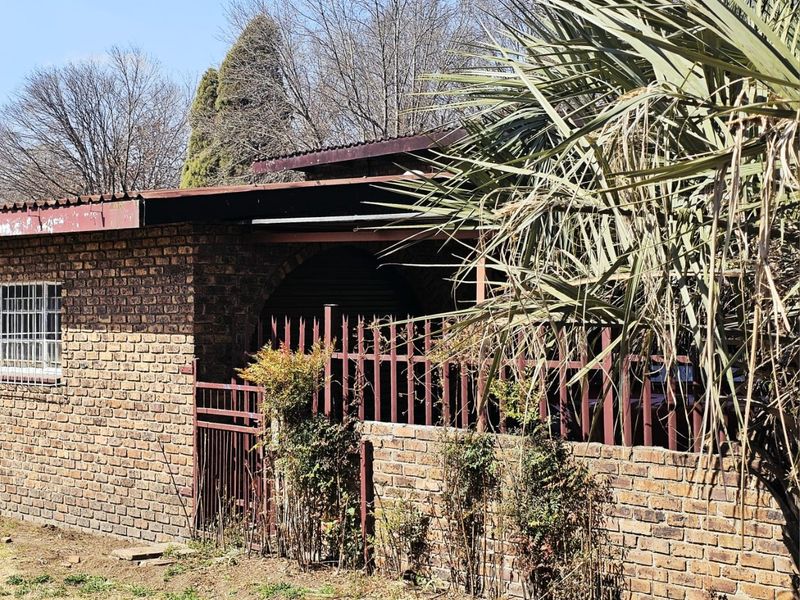 Exceptional Dual Living with Bonus Bachelor Flat in Bethal! - Photo 8