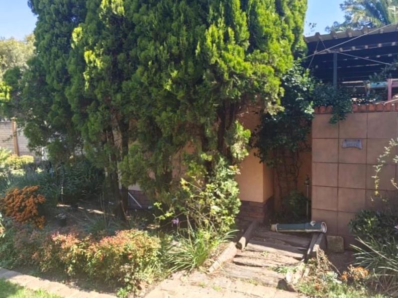 A garden area featuring mature trees, a tiled boundary wall, and timber steps leading toward a covered patio structure.