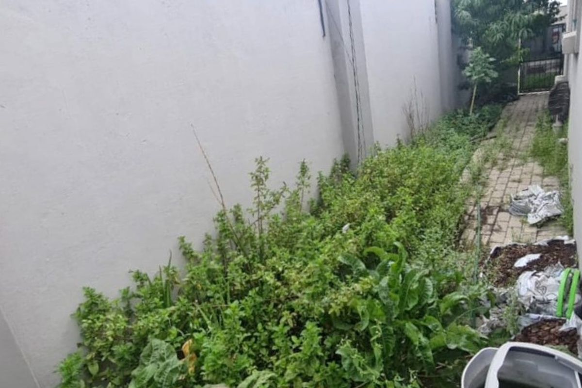 A narrow side passage or rear exterior area featuring a paved walkway bordered by a high boundary wall, currently requiring significant landscaping and maintenance.