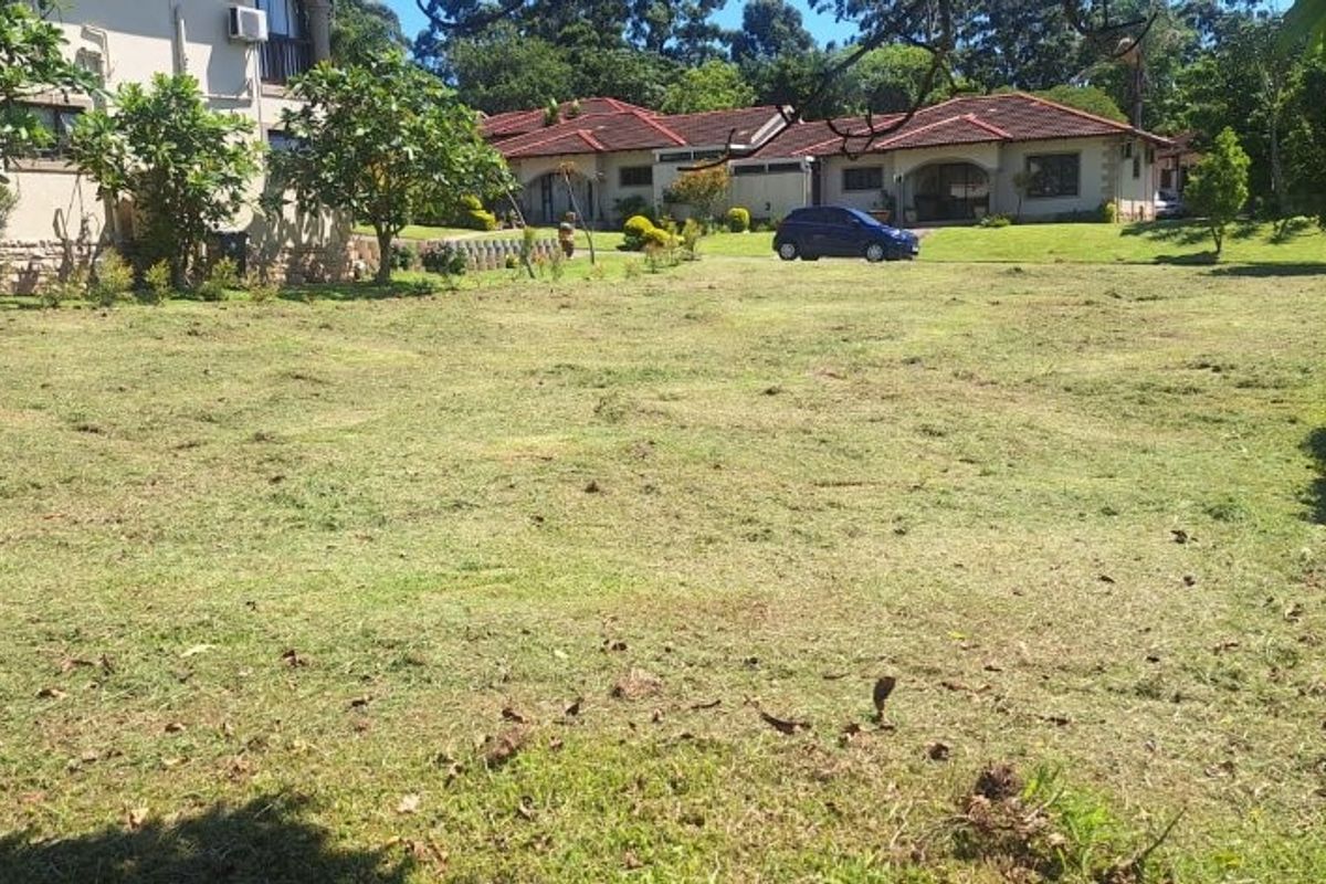 A well-maintained, level residential plot featuring established lawn, mature trees, and perimeter hedging in a quiet neighborhood setting.
