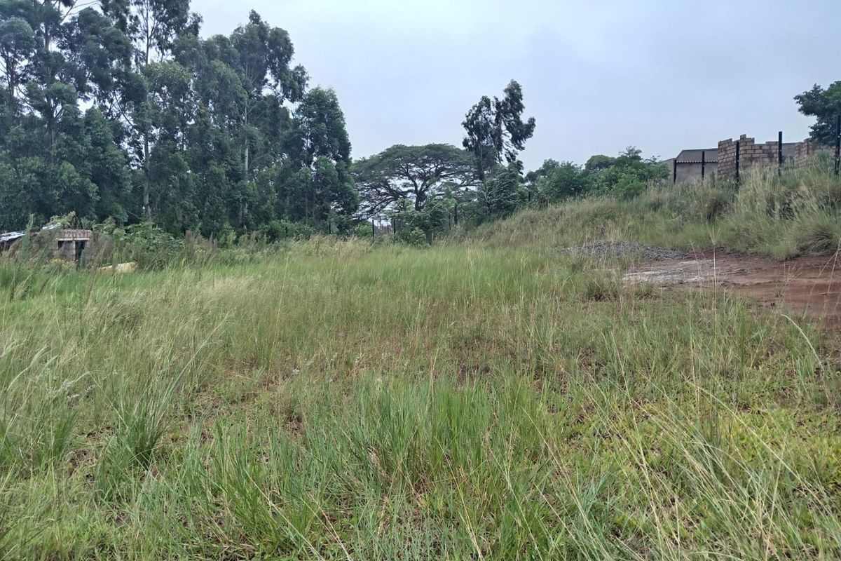A view of a vacant residential plot featuring natural grass coverage, perimeter fencing, and established trees on the property boundary.