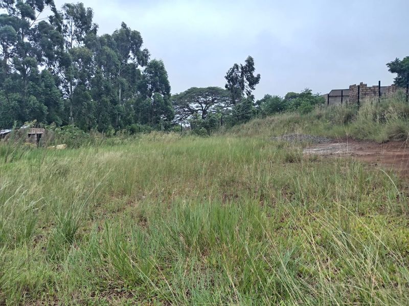 A view of a vacant residential plot featuring natural grass coverage, perimeter fencing, and established trees on the property boundary.