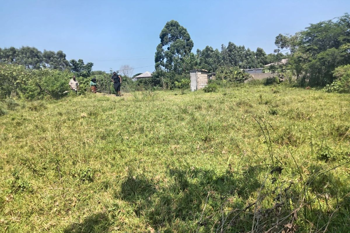 A view of a vacant residential plot featuring overgrown grass and a small, detached concrete block structure.