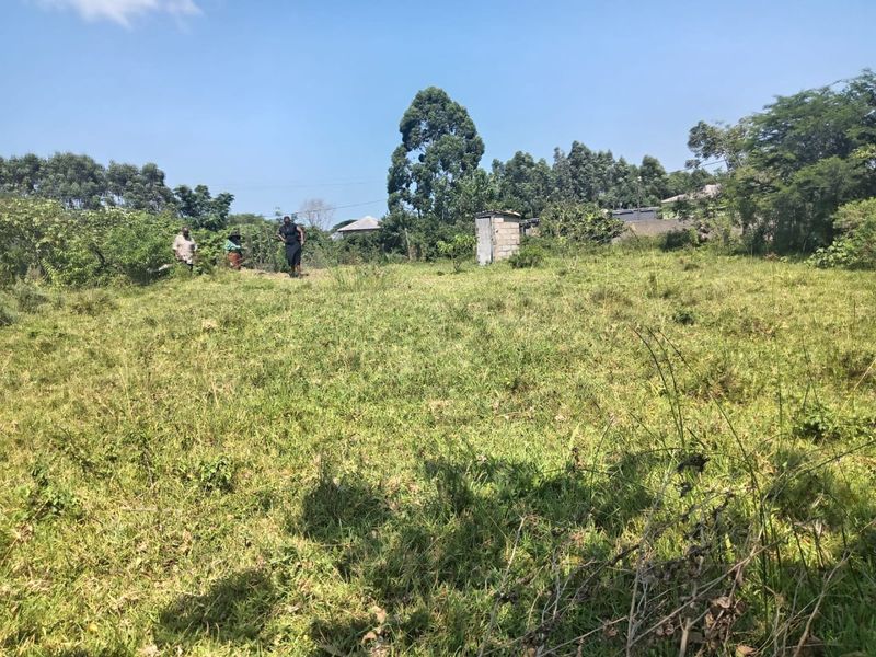 A view of a vacant residential plot featuring overgrown grass and a small, detached concrete block structure.