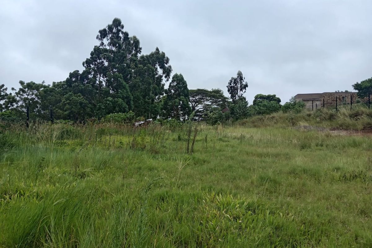 A view of a vacant residential plot featuring natural grass coverage, mature trees, and perimeter fencing.