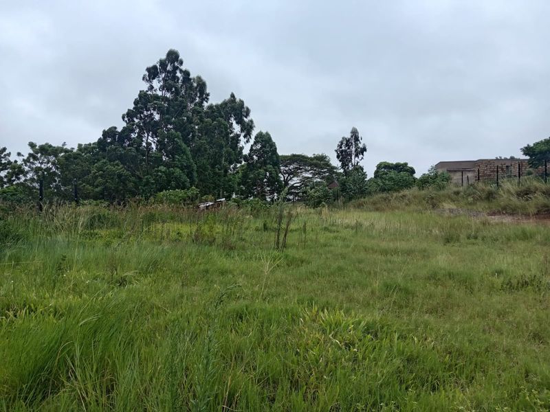 A view of a vacant residential plot featuring natural grass coverage, mature trees, and perimeter fencing.