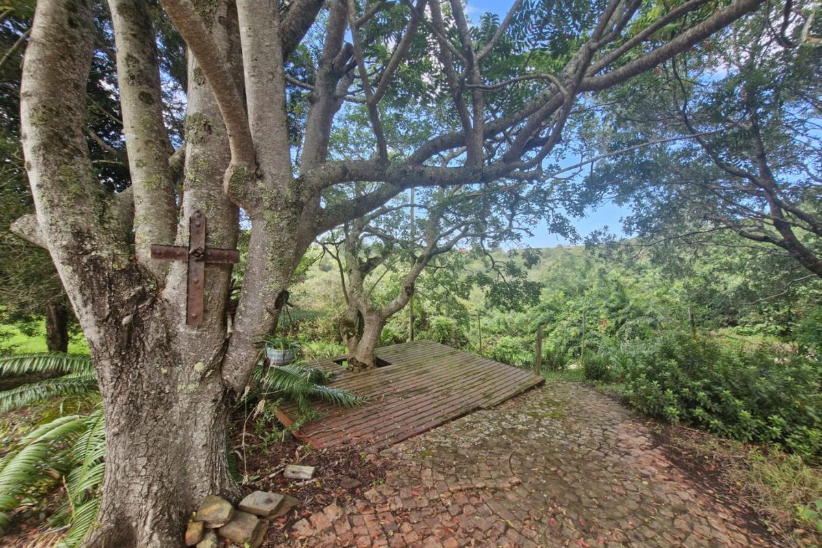 Three hectares of tranquillity, views, and limitless potential - Photo 2