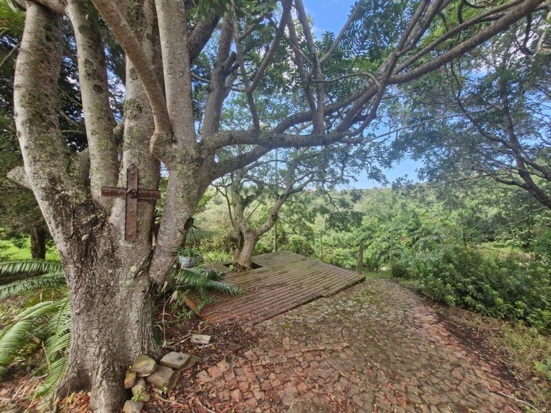 Three hectares of tranquillity, views, and limitless potential - Photo 2