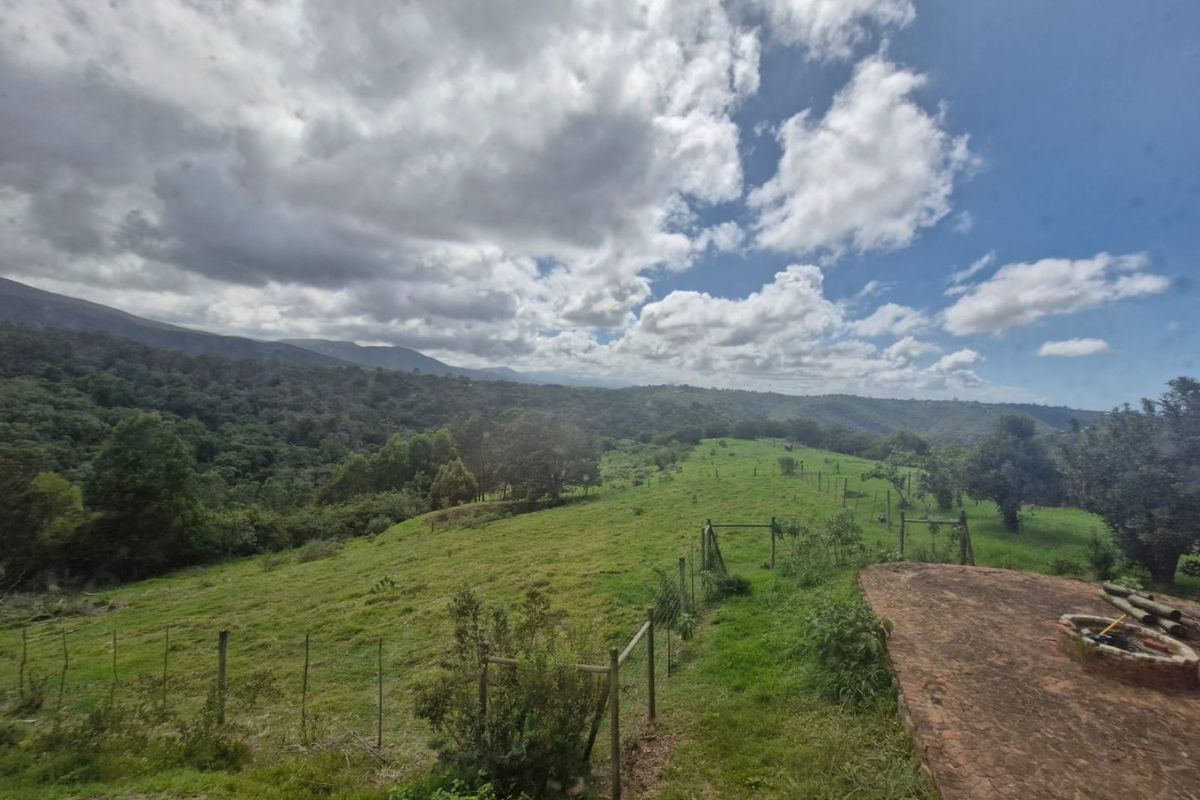 Three hectares of tranquillity, views, and limitless potential - Photo 4
