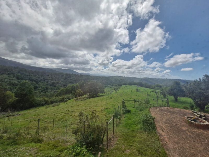 Three hectares of tranquillity, views, and limitless potential - Photo 4