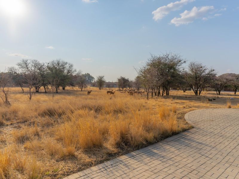 Wonderful 3 Bedroom House For Sale in Wilkoppies - Photo 7