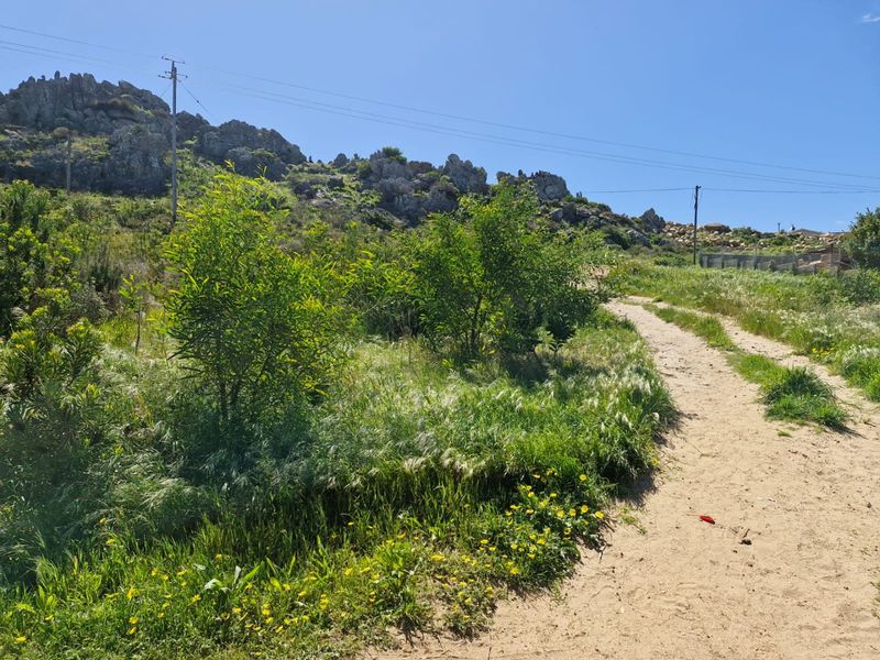 A view of a vacant residential plot featuring natural rock formations, indigenous vegetation, and an unpaved access path.