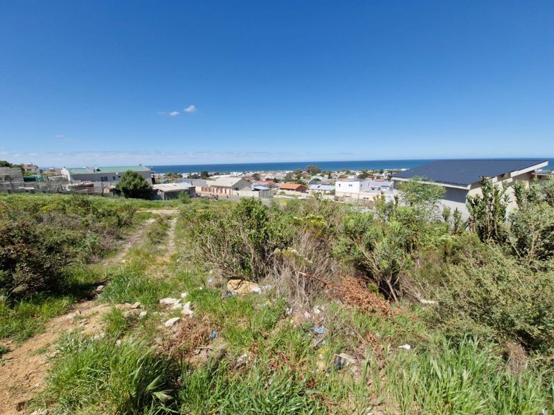 A scenic view overlooking a residential neighborhood with a clear horizon line of the ocean in the distance.