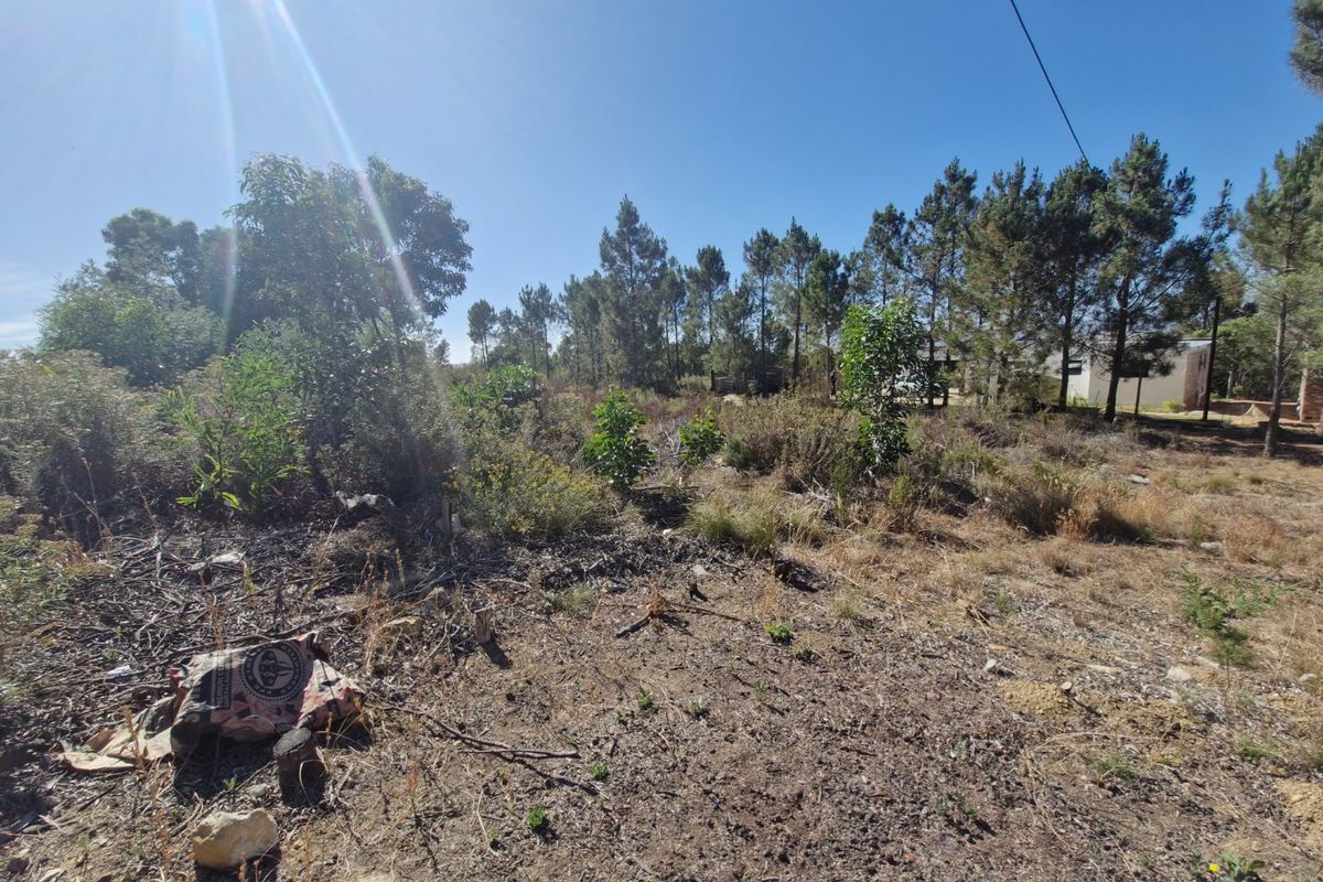 Design Your Dream Country Life : Large Vacant land - Photo 5
