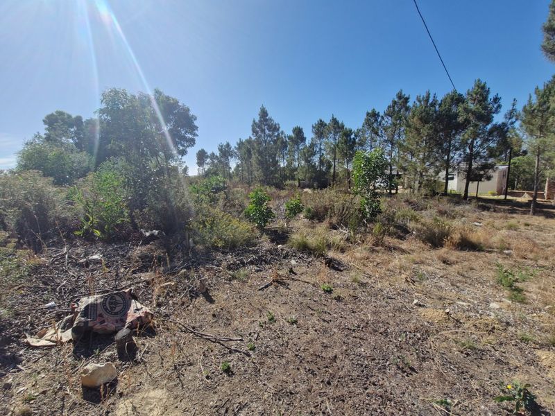 Design Your Dream Country Life : Large Vacant land - Photo 5