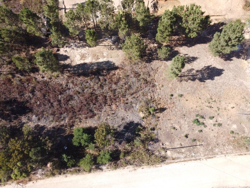 Design Your Dream Country Life : Large Vacant land - Photo 6