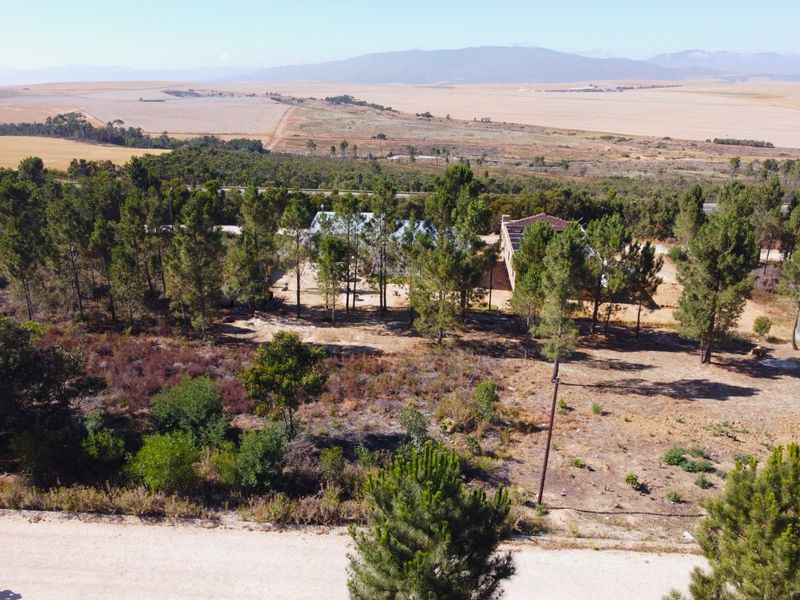 Design Your Dream Country Life : Large Vacant land - Photo 2