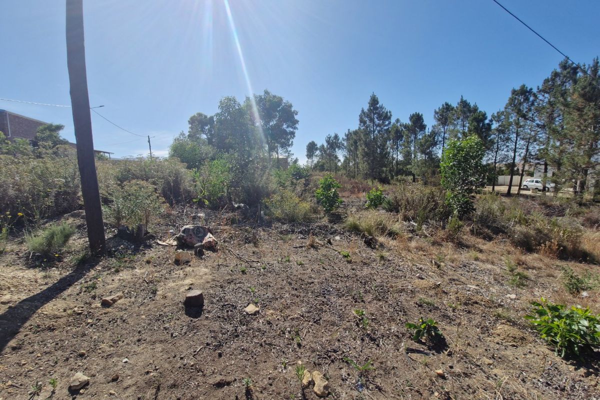 Design Your Dream Country Life : Large Vacant land - Photo 4