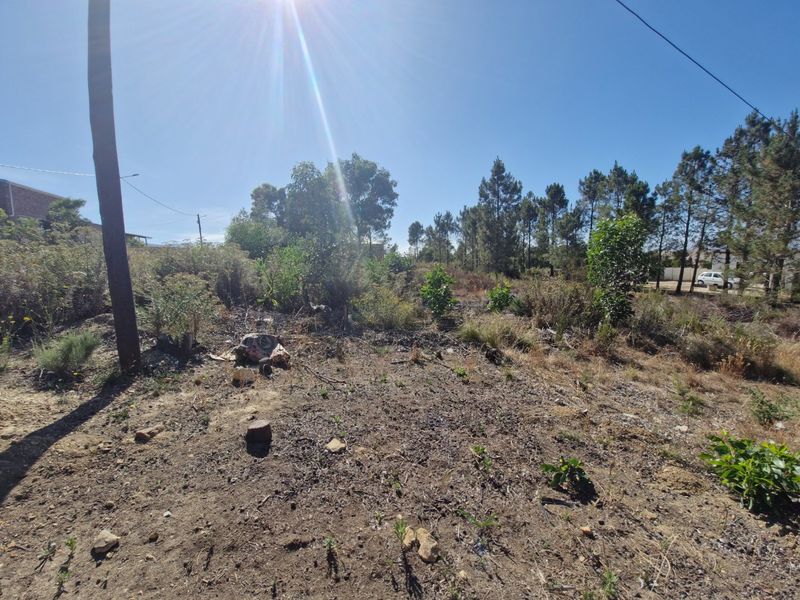 Design Your Dream Country Life : Large Vacant land - Photo 4