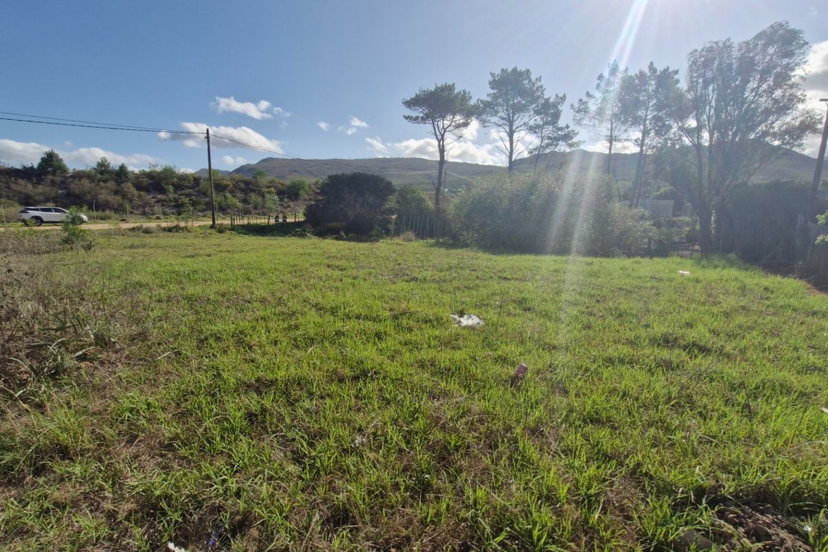 Large vacant stand for sale - Photo 5