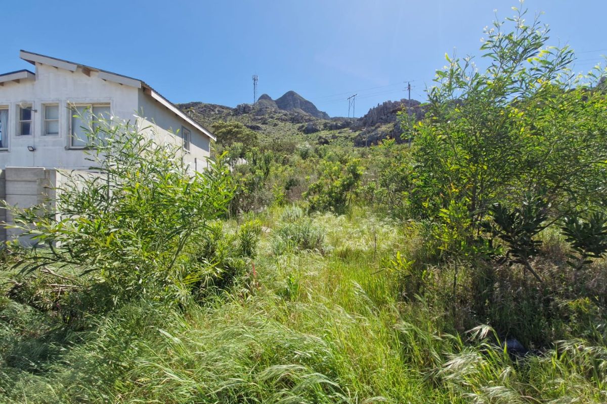 A view of a vacant residential plot featuring natural vegetation and an adjacent building, set against a mountainous backdrop.