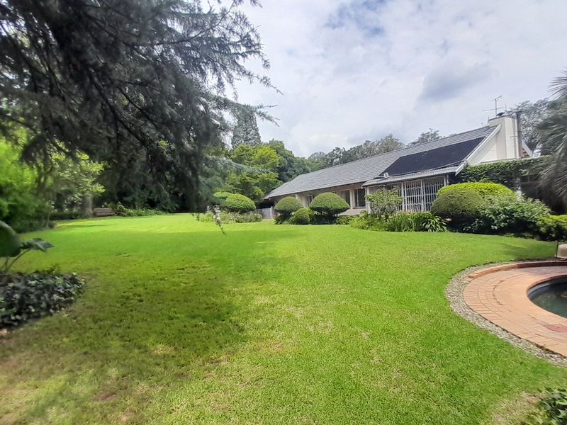 Massive 4 bedroom 3 bath House with Guest suite - Photo 10