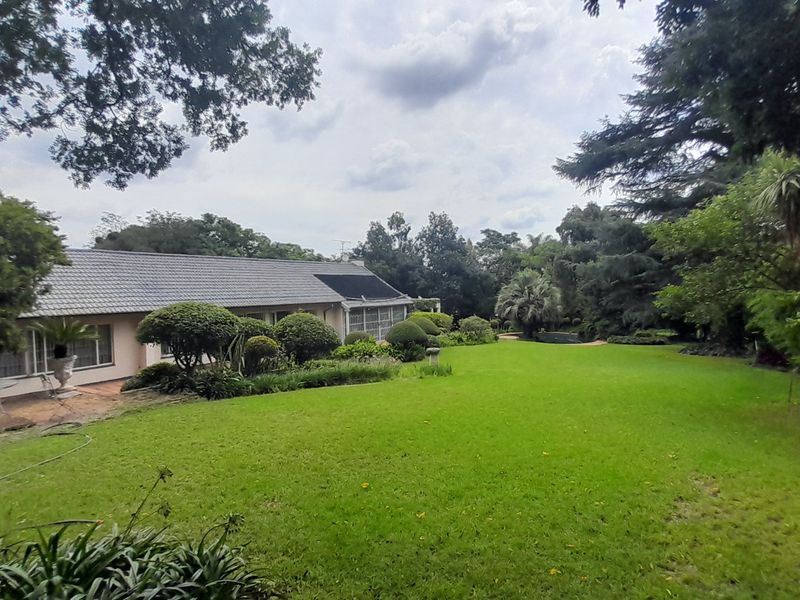 Massive 4 bedroom 3 bath House with Guest suite - Photo 7