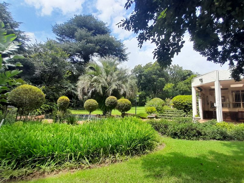 Massive 4 bedroom 3 bath House with Guest suite - Photo 6