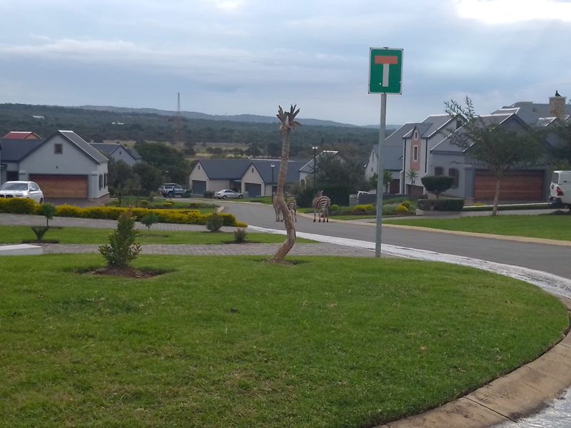 Prime Vacant land  in Waterlake Farm Estate - Photo 5