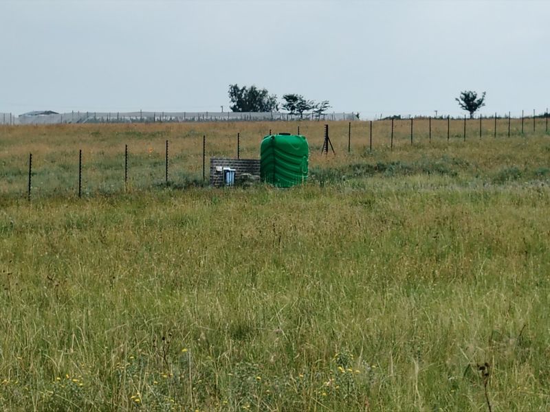 Versatile Agricultural Plot with Excellent Income Potential - Photo 4