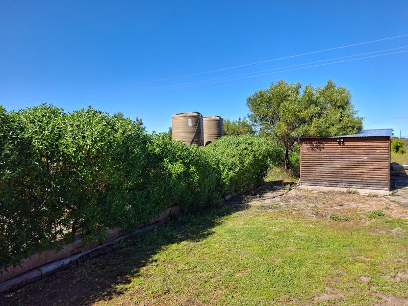 20ha Farm for Sale – Hartebeesfontein - Photo 3