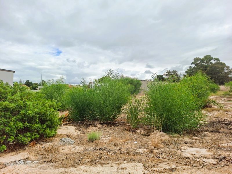 Prime Plot In Hopefield For Sale - Photo 4