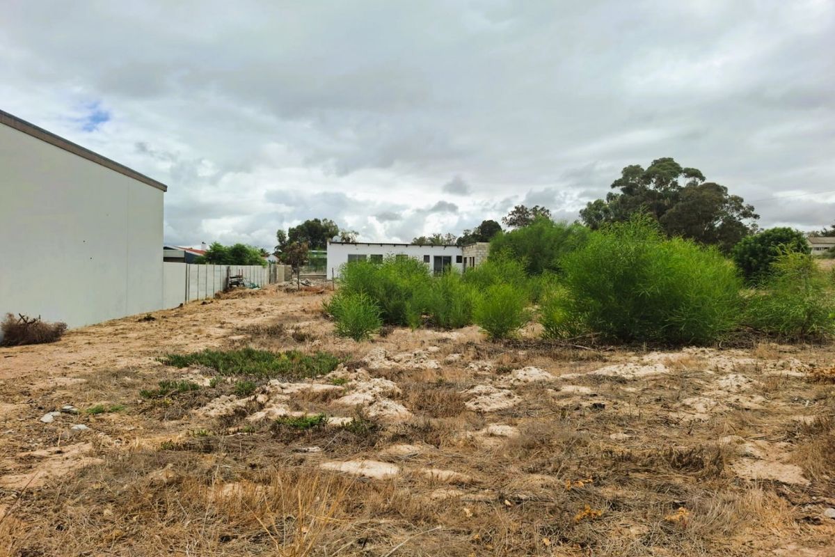 A view of a vacant residential plot featuring natural ground cover, boundary walls, and surrounding residential structures.