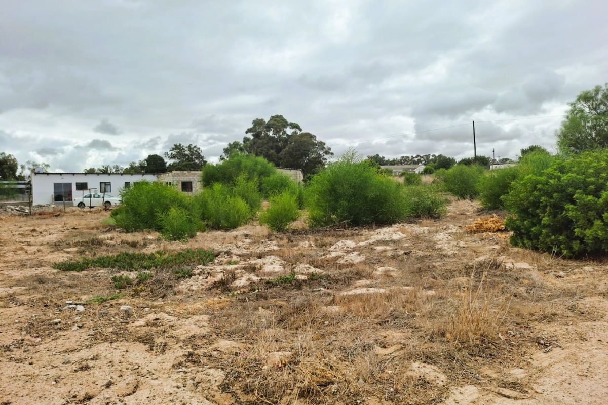 A view of a vacant residential plot featuring natural ground cover and scattered native vegetation, ready for future development.