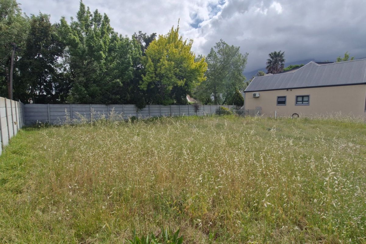 A view of a vacant residential plot featuring a precast concrete boundary wall and mature trees, with overgrown grass throughout the site.