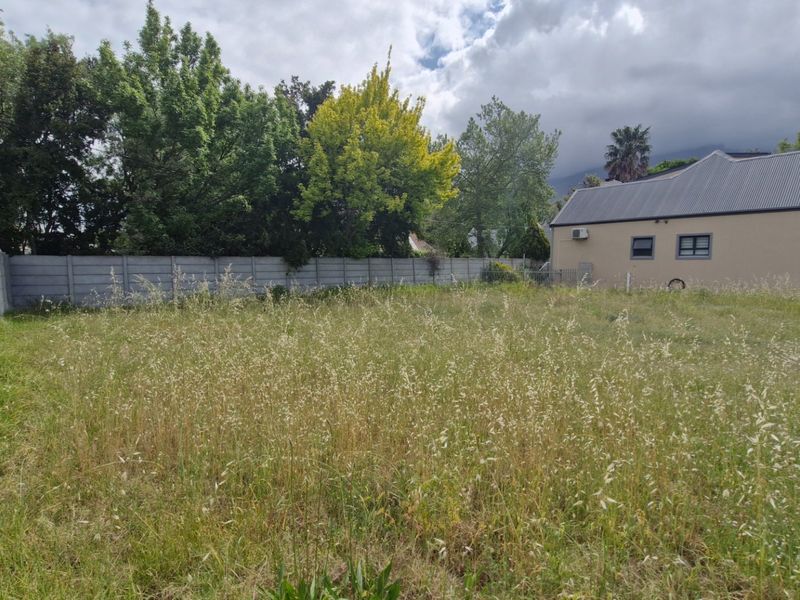 A view of a vacant residential plot featuring a precast concrete boundary wall and mature trees, with overgrown grass throughout the site.