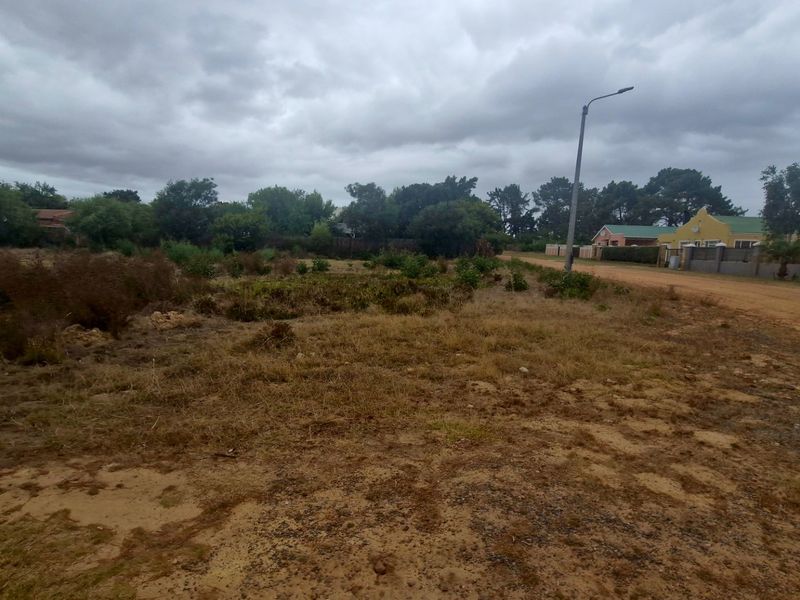 Huge level corner stand just under 1000 sqm in Botrivier Avenues - Photo 3