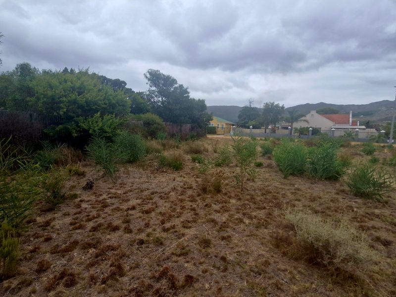 Huge level corner stand just under 1000 sqm in Botrivier Avenues - Photo 8