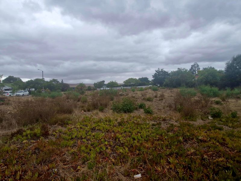 Huge level corner stand just under 1000 sqm in Botrivier Avenues - Photo 6