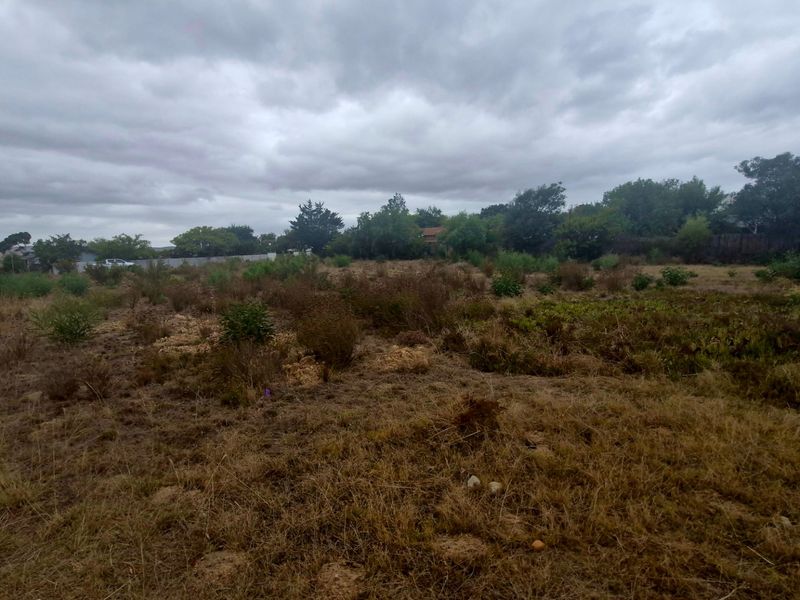 Huge level corner stand just under 1000 sqm in Botrivier Avenues - Photo 5