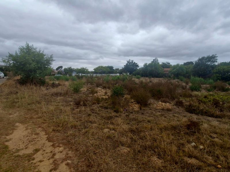 Huge level corner stand just under 1000 sqm in Botrivier Avenues - Photo 4