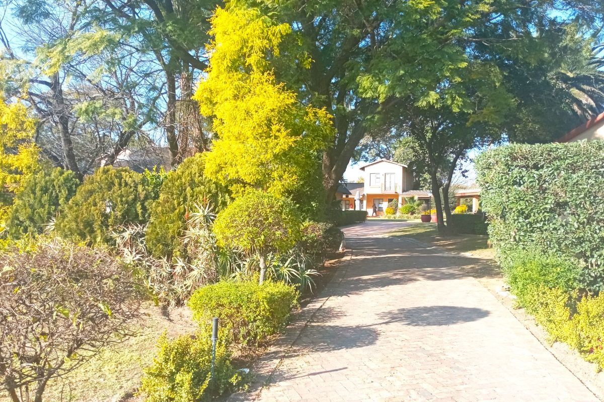 Beautiful, Tranquil Chartwell Guest Lodge For Sale - Photo 3