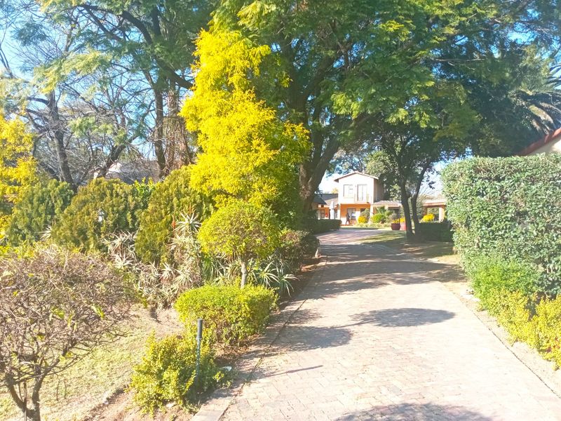 Beautiful, Tranquil Chartwell Guest Lodge For Sale - Photo 3