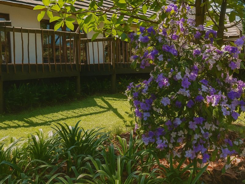 Lifestyle Farm For Sale in Nelspruit - Photo 8