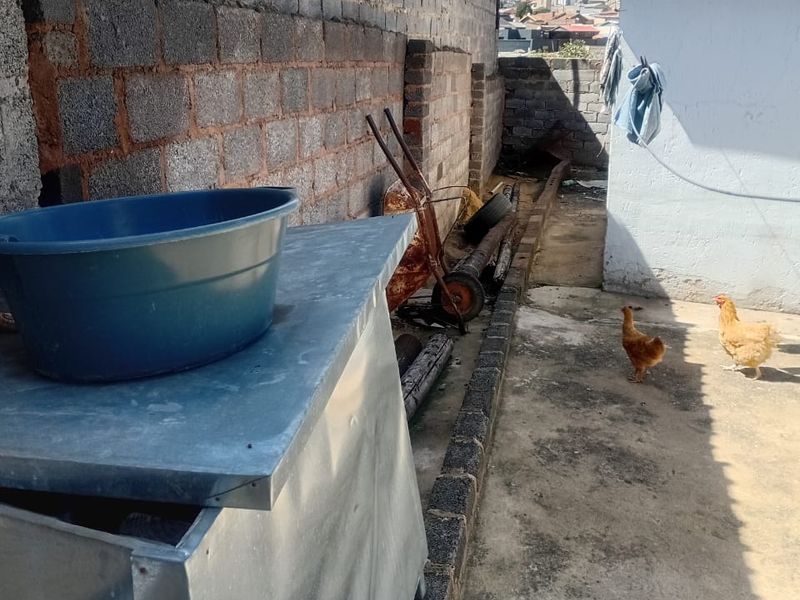 Great Investment Property: 2-Bedroom House with 4 Outside Rooms - Photo 6