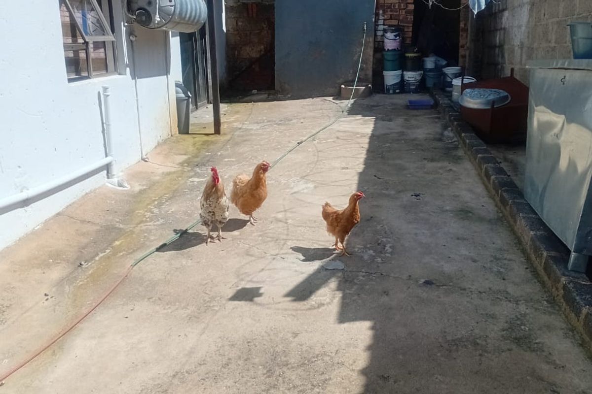 Great Investment Property: 2-Bedroom House with 4 Outside Rooms - Photo 4